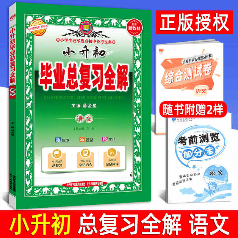 2025版小升初教材全解 语文 通用版 五六年级升学专项训练练习册 小学6六年级上下册语文书辅导资料 小学生毕业总复习全解工具书