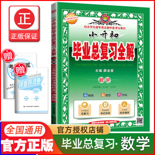 官方正版 小升初毕业总复习全解数学 通用版 人教苏教北师大等各种教材版本适用附模拟冲刺试卷 小升初数学总复习资料