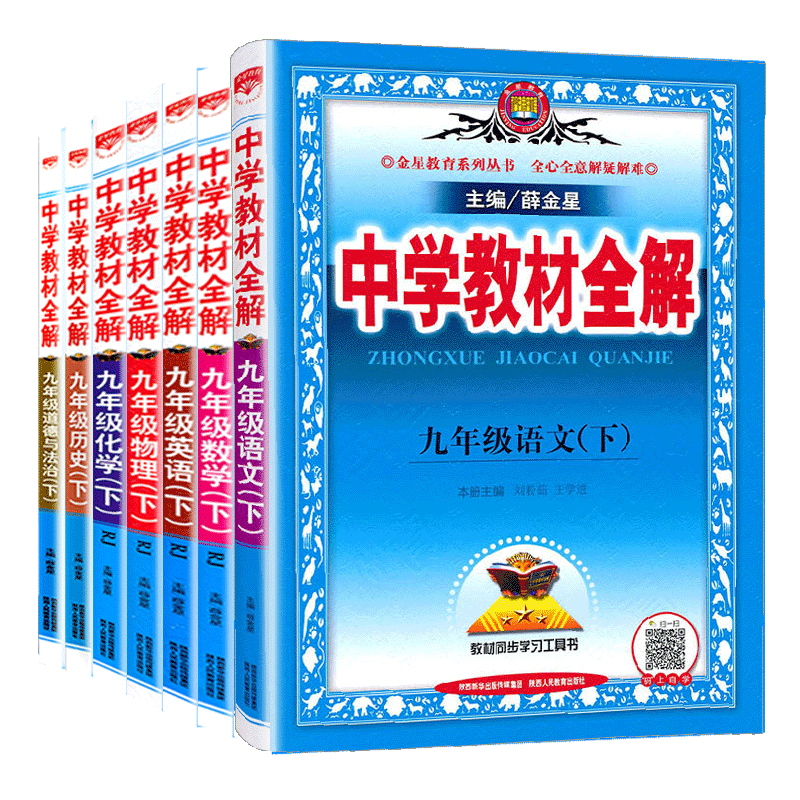 2025春中学教材全解9九年级下