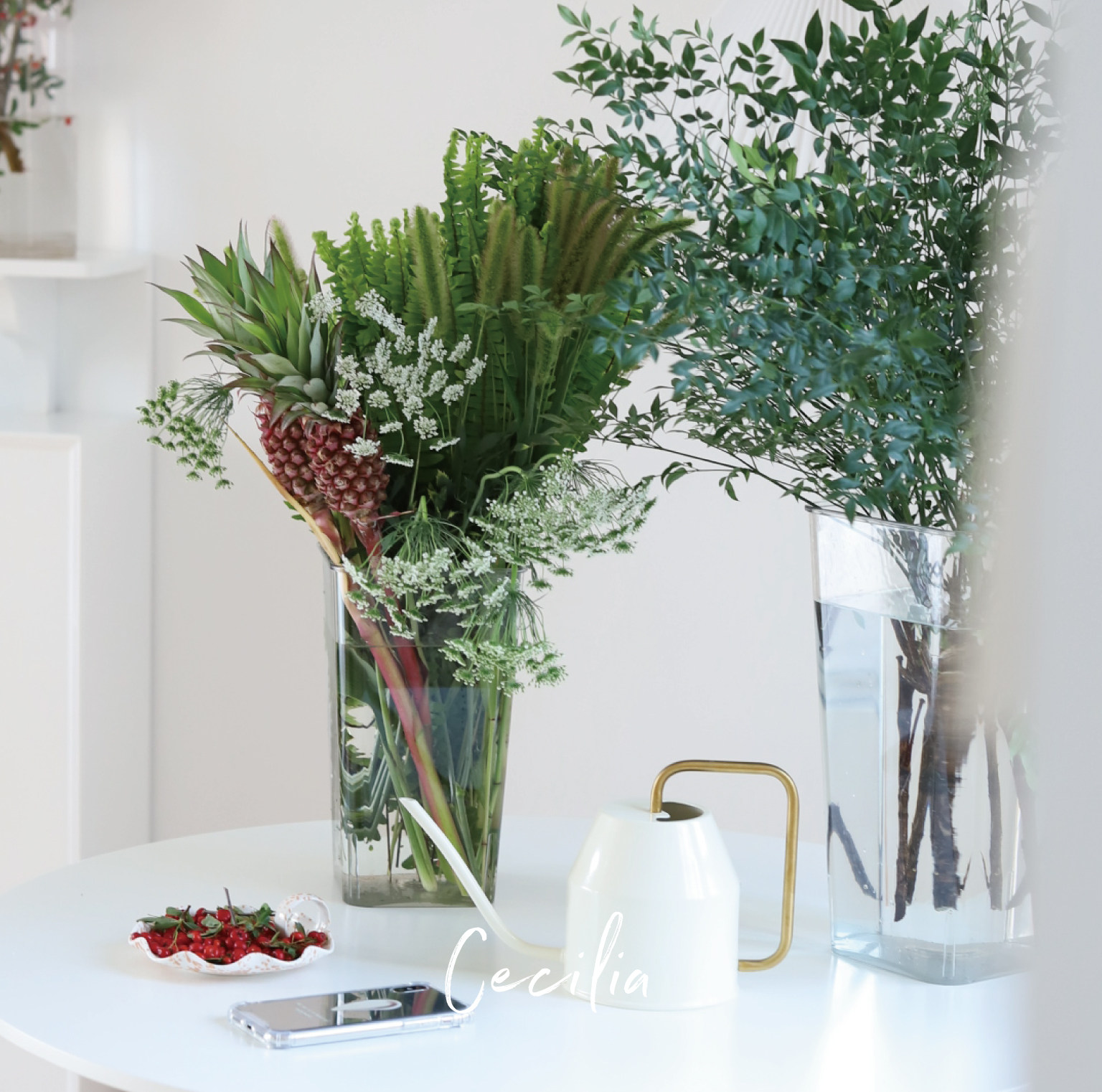 cecilia 醒花桶深水醒花专业用品透明亚克力家用花店专用养花插花