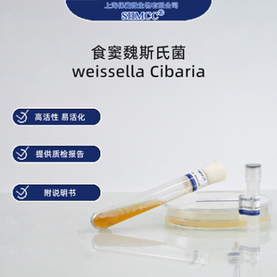 食窦魏斯氏菌 weissella Cibaria 西巴里亚魏瑟菌 标准菌株现货