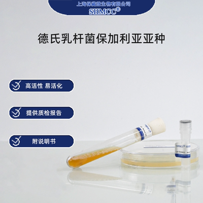 二代德氏乳杆菌保加利亚亚种 酸奶发酵剂 活化菌种 上海