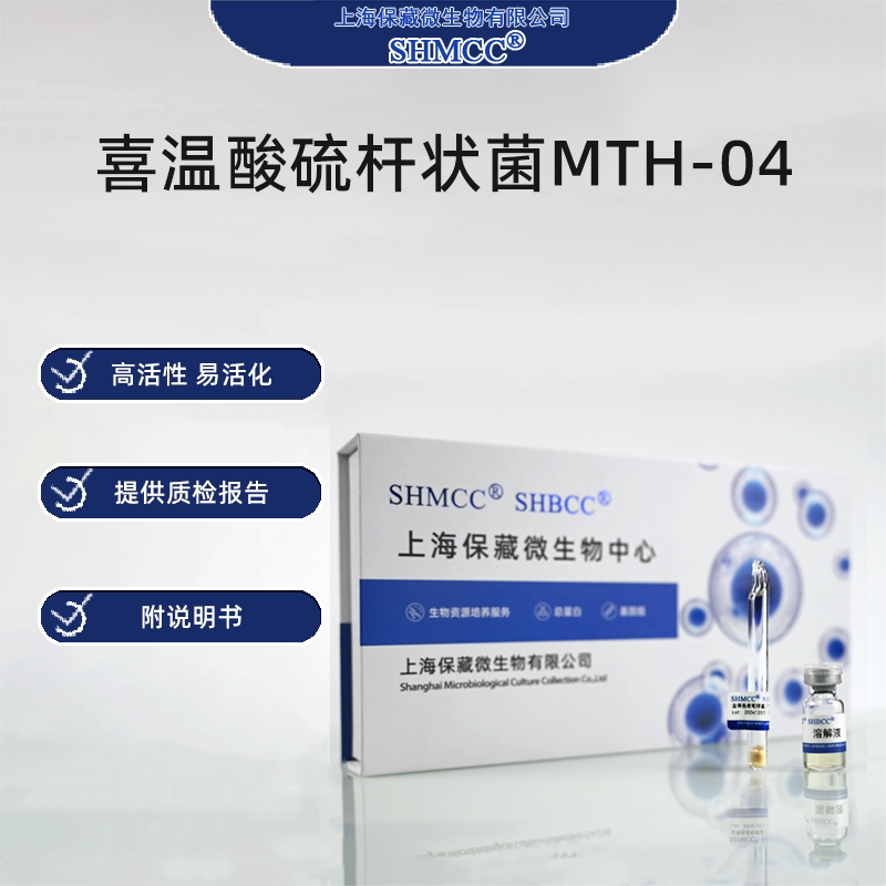 喜温酸硫杆状菌MTH-04 CGMCC1.15711 浸矿细菌 酸性温泉 上海现货
