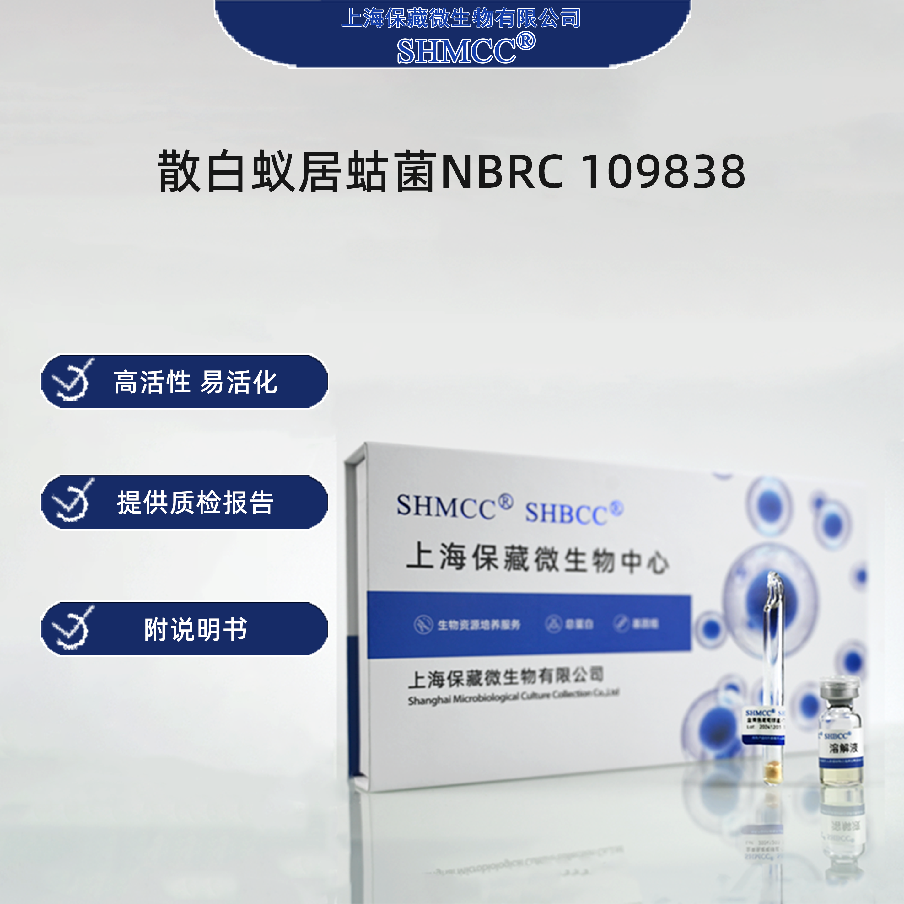 散白蚁居蛄菌NBRC109838 0代标准菌种冻干粉