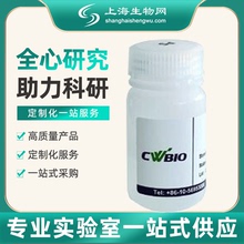 RNA样本保存液康为世纪上海生物网CW0592M