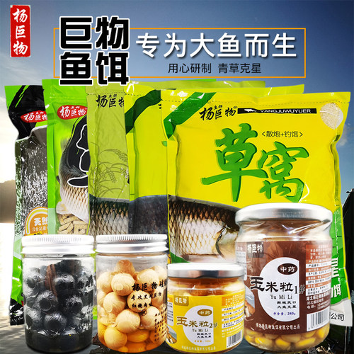 杨巨物草青巨青颗粒青鱼珠珠