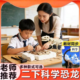恐龙化石考古挖掘玩具套装骨架模型二年级下册科学实验霸王龙石膏