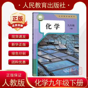 社九年级下册化学课本 初中化学课本教材教科书人民教育出版 化学九年级下 9九年级下册化学书课本 2025人教版