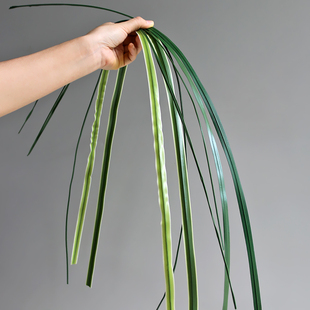 仿真钢草剑叶细扁叶线条花艺插花造型线条室内装饰花材