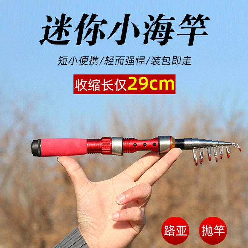 迷你便携海钓竿套装36
