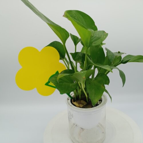 来来虫花型家庭园艺面膜防水