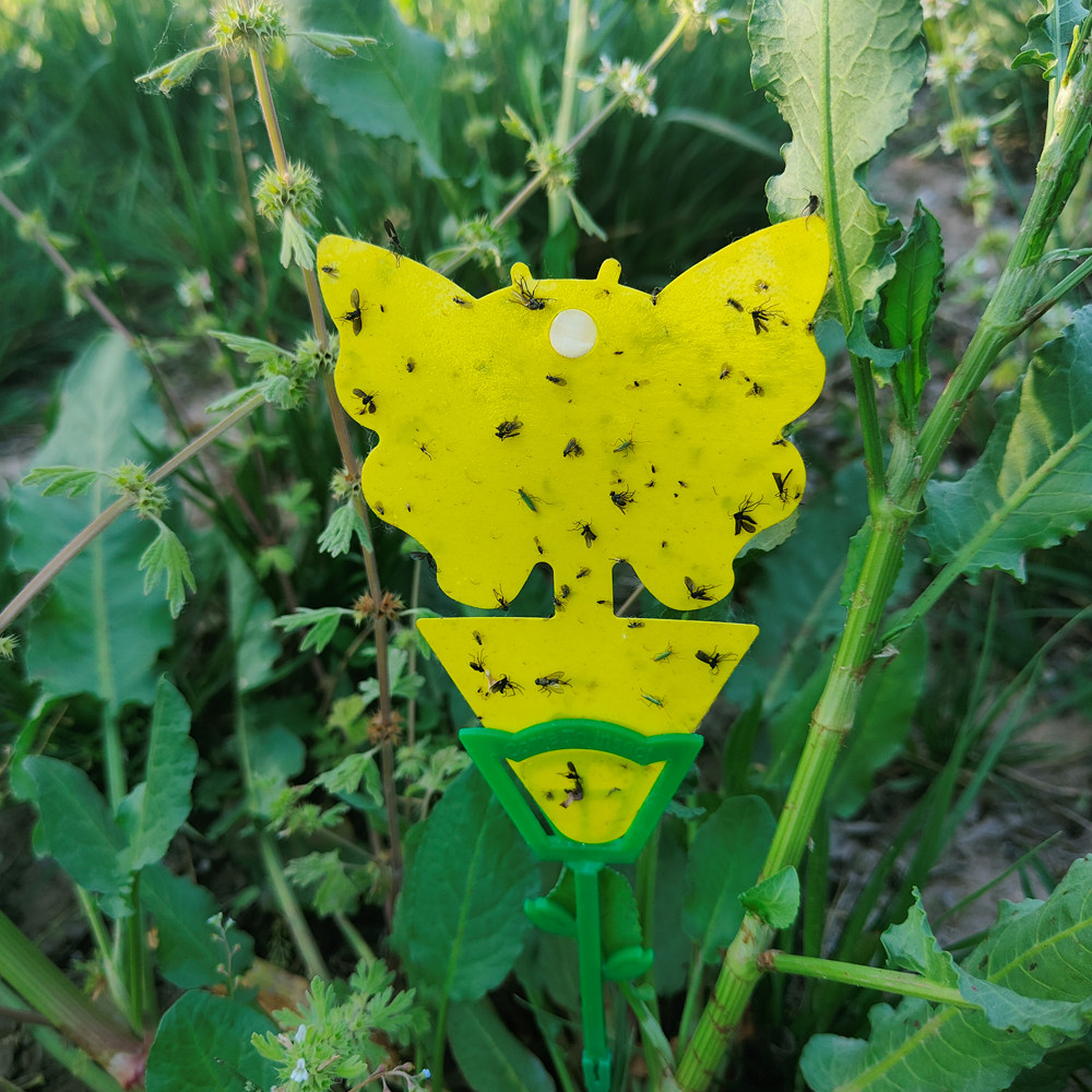 来来虫异形花型蝴蝶型家庭园艺粘虫诱虫板诱捕白粉虱果实蝇蓟马