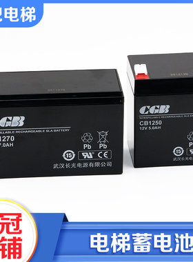 杭州西奥电梯救援装置松闸电源CGB武汉长光蓄电池CB1250/1270配件