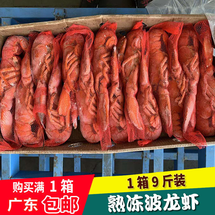熟冻波士顿龙虾 冷冻龙虾 大虾海虾 波龙虾 海鲜水产1件9斤