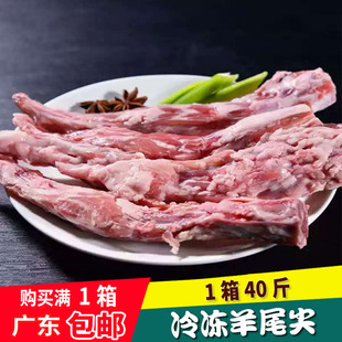 羊尾尖 散养羔羊尾尖 羊尾巴 羊尾骨 炖羊肉 羊尾芯火锅 1件40斤