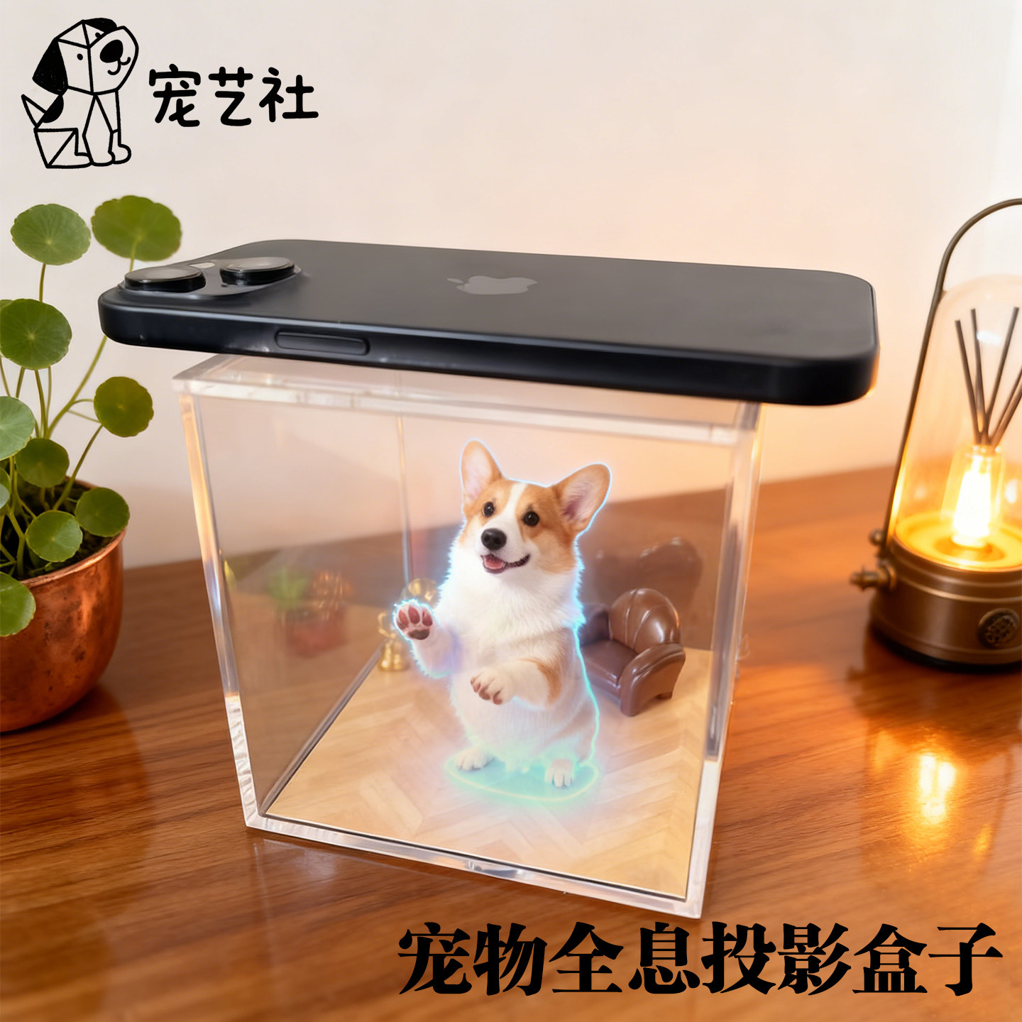 全息宠物纪念摆件投影动物透明猫狗影像数字屋互动盒子创意DIY,家居饰品,桌面摆件,淘宝优惠券,粉丝福利购,淘宝优惠卷