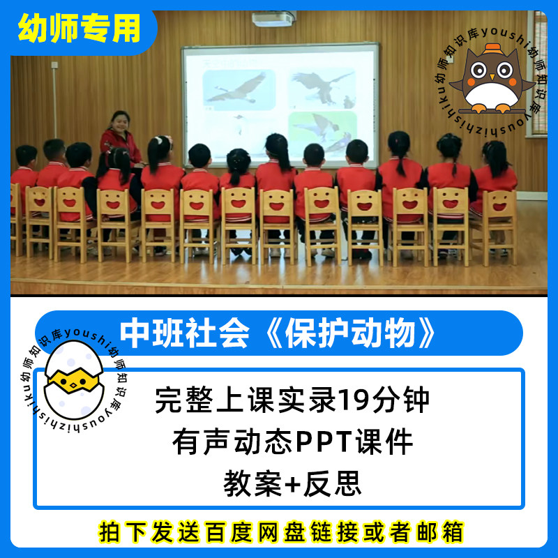 幼儿园公开优质课中班社会保护动教师资格证/教师招聘