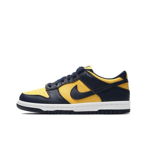Nike Dunk Retro 