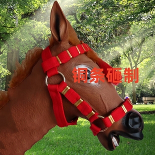 老式马术用品 栓毛驴骡子马笼头龙头龙套 纯手工制作 马具
