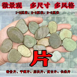 微景观造景片石原生缸溪流天然石超薄小块精选摆件台阶苔藓鱼素材