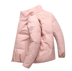 2020电商B247冬季新款韩版短款休闲潮流羽绒服流行外穿1985-P140图片