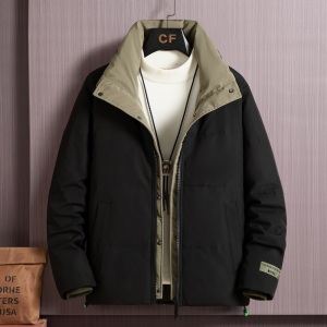 2021电商B247冬季新款加厚保暖立领羽绒服时尚外套男装9328-P160图片