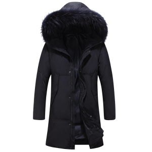 2020电商B247冬季新款港风连帽外套外穿保暖舒适羽绒服男925-P245图片