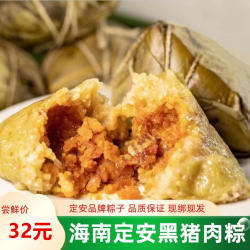 【全国发货 现绑现发】海南定安黑猪肉蛋黄农村粽子 pk万宁儋州粽