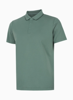 李宁短袖POLO男子春季团购系列商务休闲舒适百搭T恤APLU191--B品