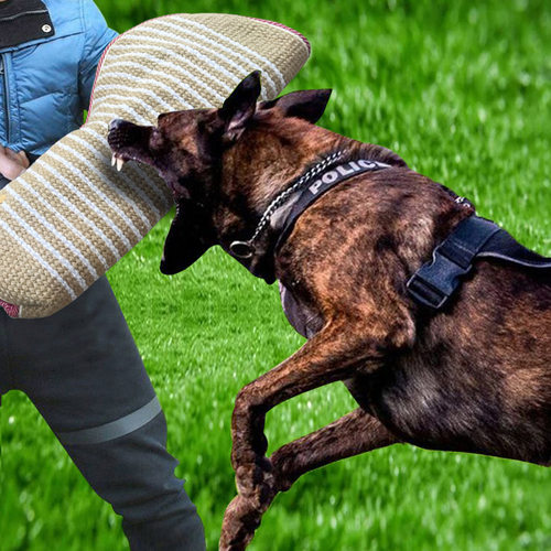 扑咬袖训犬护袖德牧马犬扑咬袖训狗用品犬袖犬靶训狗靶护袖护臂 - 封面