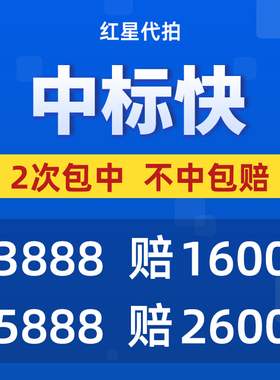 红星代拍 沪牌代拍 个人私牌公司车牌选号上海牌照拍沪牌上牌竞拍