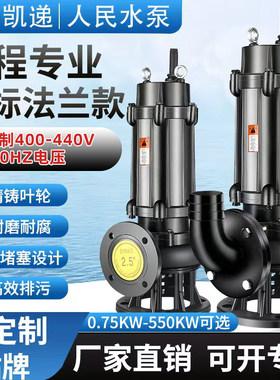 上海凯递国标法兰款工程用污水泵