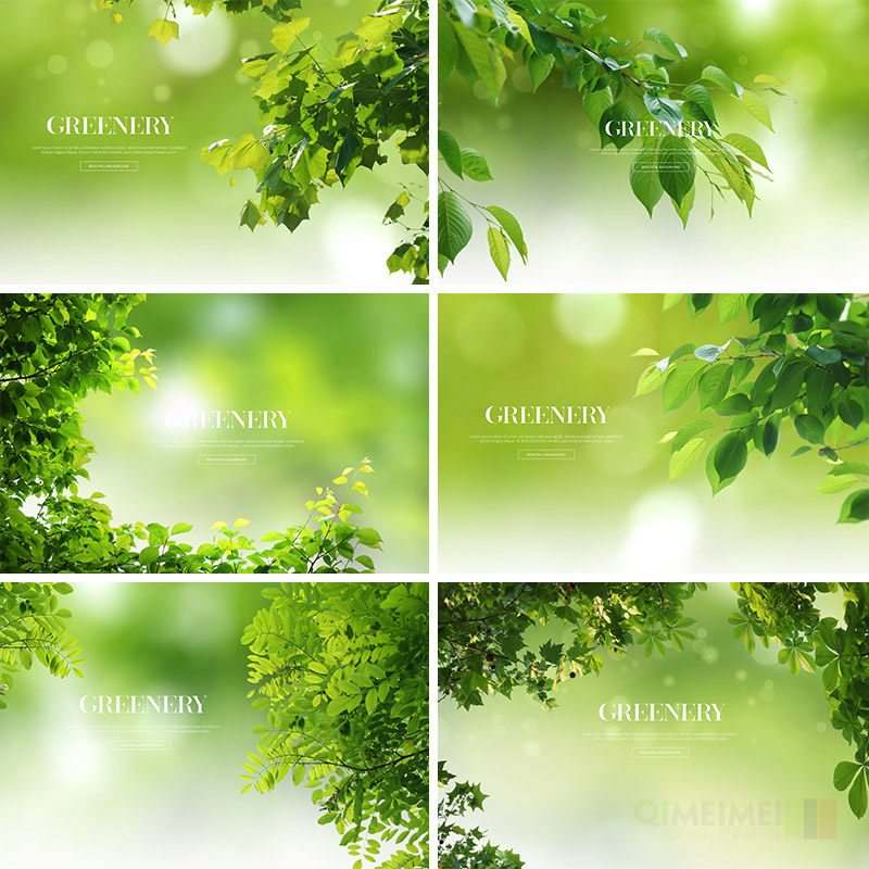 清新绿色养眼树叶绿叶虚幻背景海报psd分层平面设计素材模板71809