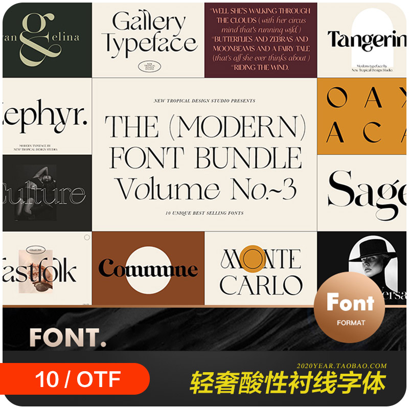 优雅轻奢酸性衬线杂志海报标题品牌Logo英文字体设计素材2171401