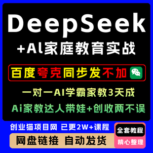 DeepSeek实战指南 国产AI大模型黄豆奶爸deepseek 精通视频教程