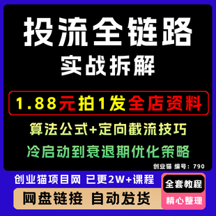 投流全链路实战拆解算法公式定向截流技巧冷启动到衰退期优化策略