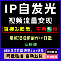 車車編導(dǎo)IP自發(fā)光短視頻流量變現(xiàn)實操課爆款短視頻創(chuàng)作ip打造課程