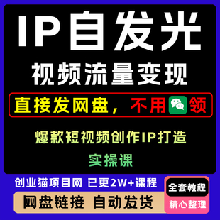 车车编导IP自发光短视频流量变现实操课爆款短视频创作ip打造课程