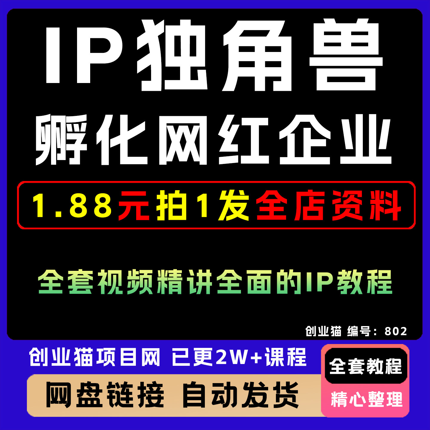 2025IP独角兽孵化网红企业全套视频精讲学习资料课件教学课程项目