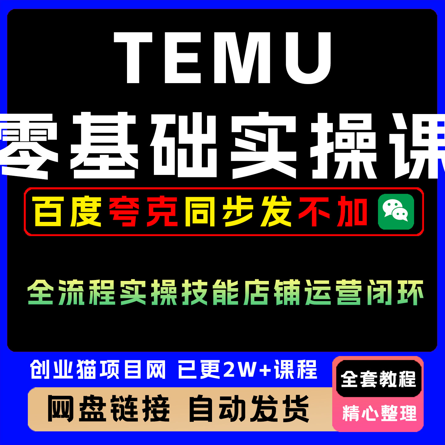 TEMU零基础实操课注册开店到选品发货全流程实操技能店铺运营闭环