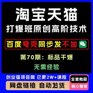 2025年淘宝天猫打爆班原创高阶技术第70期：标品干爆