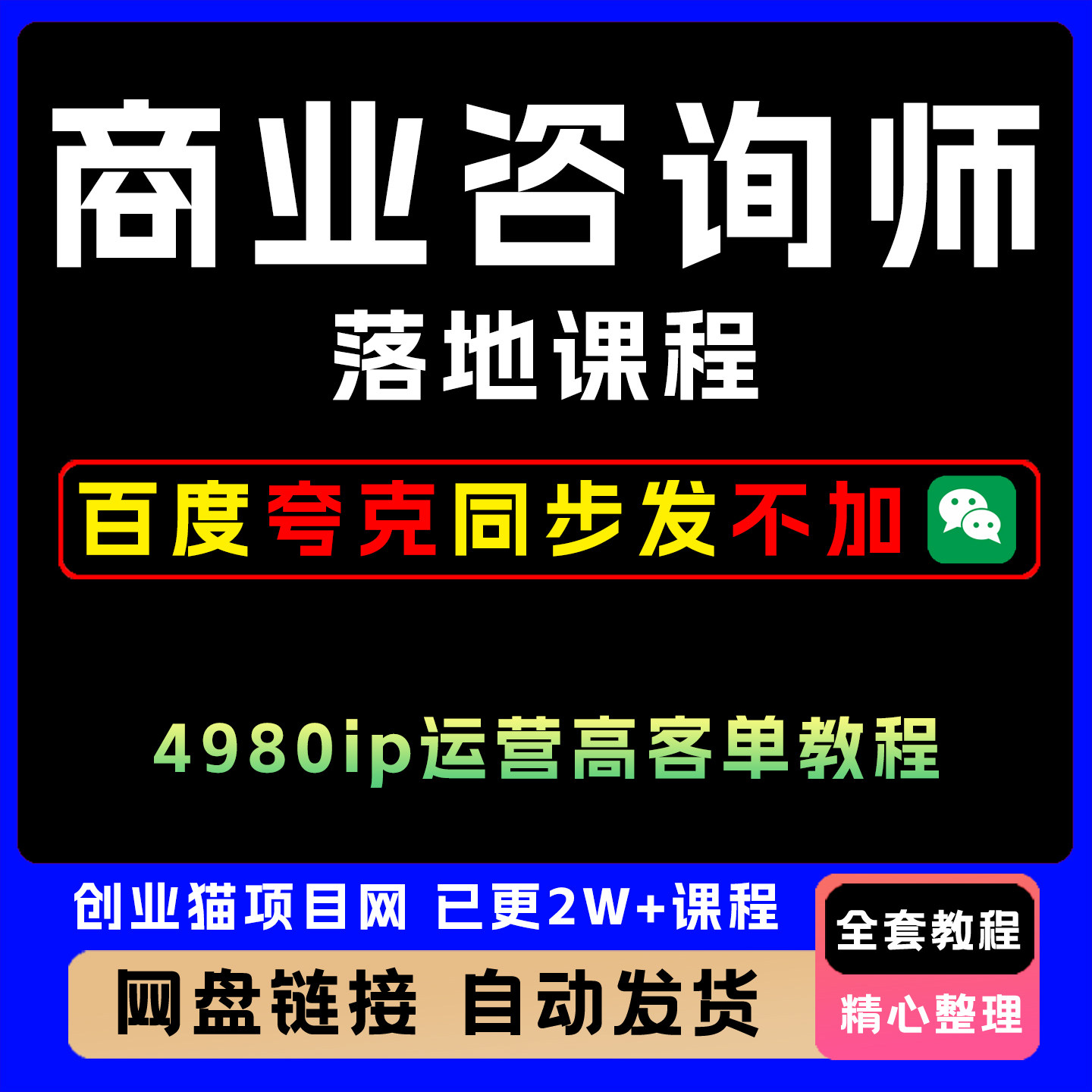 2025年商业咨询师落地课程4980ip运营高客单教程教程视频课