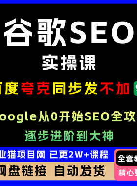 谷歌SEO实操课，Google从0开始SEO全攻略，逐步进阶技术到大神