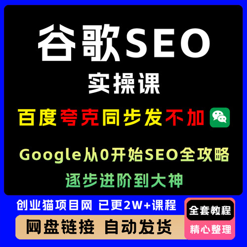 谷歌SEO实操课，Google从0开始SEO全攻略，逐步进阶技术到大神