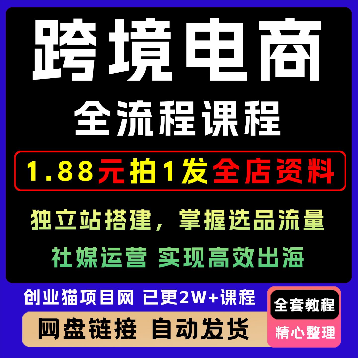 跨境电商全流程 社媒运营独立站搭建 掌握选品流量 实现高效出海