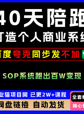 40天陪跑打造个人商业系统 一人公司 用SOP系统跑出百W变现