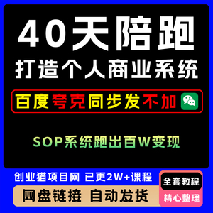 40天陪跑打造个人商业系统 一人公司 用SOP系统跑出百W变现