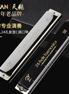 天鹅2409高端追梦人口琴成人复音C调24孔初学者入门g专用儿童正品