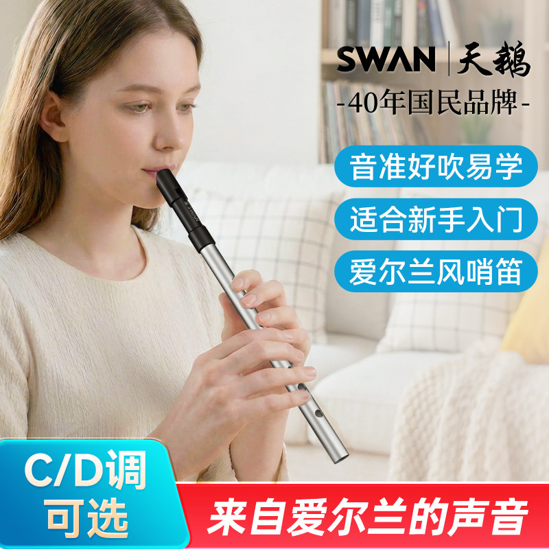 金属爱尔兰哨笛d调c调天鹅专业演奏级六孔竖笛6孔初学者树脂吹嘴