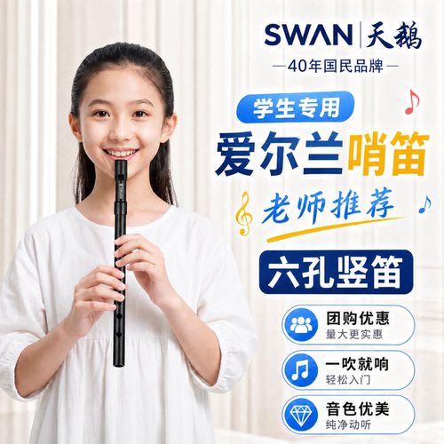 六孔竖笛小学生专用爱尔兰哨笛